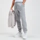 MP Joggers - Pilka mergelio