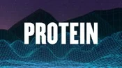 Protein